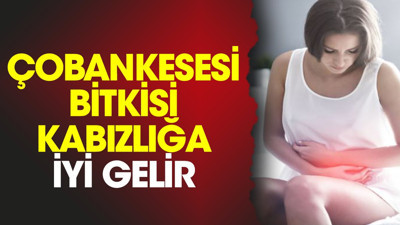 İnsanların korkulu rüyası kabızlığa iyi gelen ot