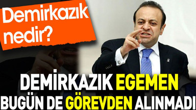 Demirkazık Egemen bugün de görevden alınmadı. Demirkazık nedir?