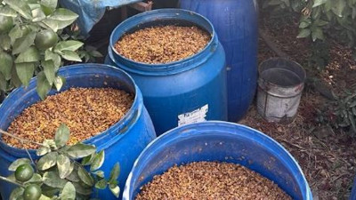 Kaçak içki ve etil baskını