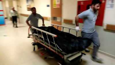 Tarlada çalışırken arının soktuğu kadın hayatını kaybetti