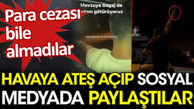 İstanbul'da havaya ateş açıp sosyal medyada paylaştılar. Para cezası bile almadılar