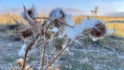 Ardahan'da soğuk hava sis, kırağı ve buzlanmaya neden oldu