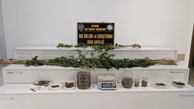 Beyşehir'de ceviz bahçesinde uyuşturucu çıktı