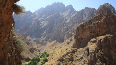 Dağın tepesine tırmanıyorlar bedava ürünü topluyorlar. Kilosunu 2 bin 500 TL'ye satıyorlar