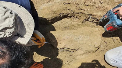 Bilinmeyen bir insan türüne mi ait? 300 bin yıllık fosil keşfi