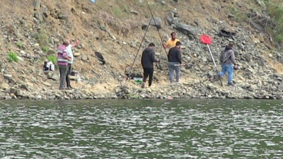 Balık kafesleri yırtıldı oltasını kapan koştu. Türk somonuna vatandaş doydu