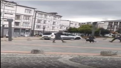 Köpeklerin boynuna ip bağlayıp sürüklediler. Belediye görevlileri bunu yaparsa