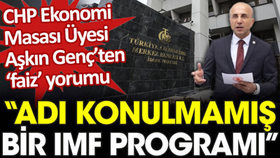 CHP Ekonomi Masası Üyesi Aşkın Genç'ten 'faiz' yorumu: Adı konulmamış bir IMF programı