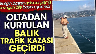 Oltadan kurtulan balık trafik kazasında öldü