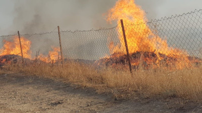 20 dönüm fıstık ve üzüm bağı yangında zarar gördü