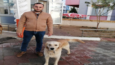 Kastamonu’da iki motosiklet çarpıştı: 1 ölü, 1 yaralı