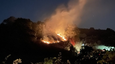 Kocaeli’de anız yangını: Köpek dumanların arasından kurtarıldı (22 Eylül 2023)