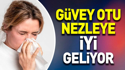 Nezleye iyi gelen mucize ot (23 Eylül 2023)