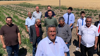 Tarımda kıtlık kapıda değil, cepte: Verimli topraklara beton dikildi