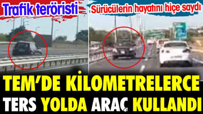 TEM'de kilometrelerce ters yolda araç kullandı. İnanılır gibi değil