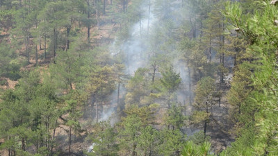 Bursa'daki orman yangını kontrol altına alındı (23 Eylül 2023)