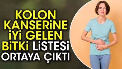 Kolon kanserine iyi gelen bitki listesi ortaya çıktı