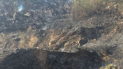 Pendik'te otluk alanda yangın