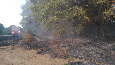 Silivri'de ağaçlara sıçrayan yangın büyümeden söndürüldü