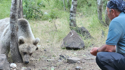 Bozayıları elleriyle besledi. Şekerleri yedikten sonra elini kaldırıp selam verdi