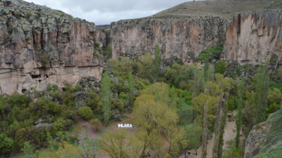 Ihlara vadisindeki bitki ve hayvan türleri kayıt altına alındı