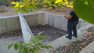 Boş havuza düşen köpeği belediye ekipleri kurtardı (24 Eylül 2023)