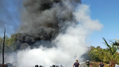 Süs bitkileri serasında yangın çıktı. Onlarca bitki yandı