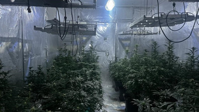 Kiraladığı evi kenevir tarlasına çeviren kişi yakalandı