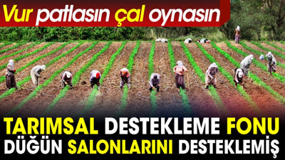 Tarımsal Destekleme Fonu düğün salonlarını desteklemiş