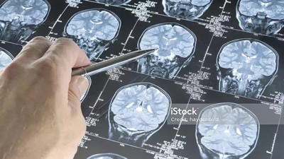 Korona Deli Danaya mı yol açıyor? Bilim insanları açıkladı