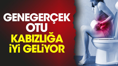 Kabızlığa iyi gelen bitki (27 Eylül 2023)