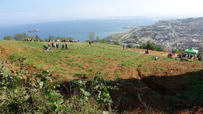 Deniz manzaralı mezara girmek için birbirlerine girdiler