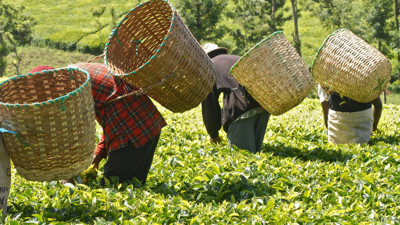 Rüyada sepet görmek ne demek? Rüyada sepet görmek neye işaret?