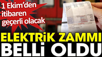 Son dakika... Elektrik zammı belli oldu