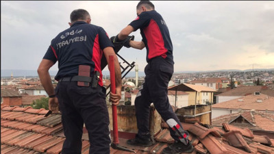 Baca deliğine düşen yavru kedinin yardımına itfaiye koştu