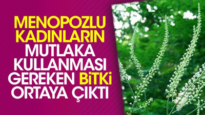 Menopozlu kadınların mutlaka kullanması gereken bitki ortaya çıktı