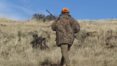 İş insanı avcıları kiraladı görüldüğü yerde vurdurdu. 1 hafta önce kayboldu geri gelir diye bekledi