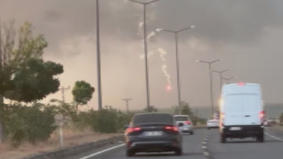 Deniz düşüş anını kaydettiler. Görenler paniğe kapıldı