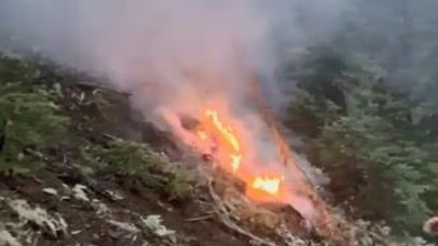 Ağaca yıldırım düştü ormanda yangın çıktı