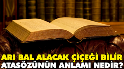 Arı bal alacak çiçeği bilir atasözünün anlamı nedir?