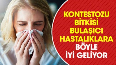 Bulaşıcı hastalıklara iyi gelen ot hastalıklara savaş açıyor