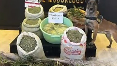 Yüksekova’da 72 kilo esrar 90 kök kenevir ele geçirildi