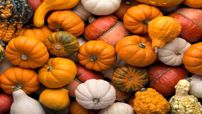 Her mutfakta mutlaka olmalı