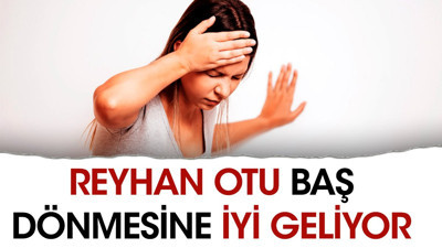 Baş dönmesine iyi gelen ot
