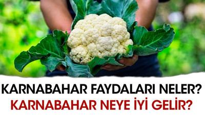 Karnabahar faydaları neler? Karnabahar neye iyi gelir?
