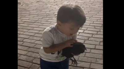 Küçük çocuğun hayvan sevgisi ve sevdirme çabası gülümsetti