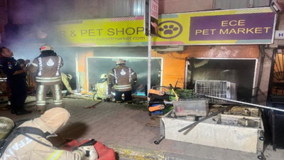 Petshopta yangın. Çok sayıda muhabbet kuşu öldü