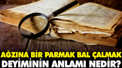 Ağzına bir parmak bal çalmak deyiminin anlamı nedir?