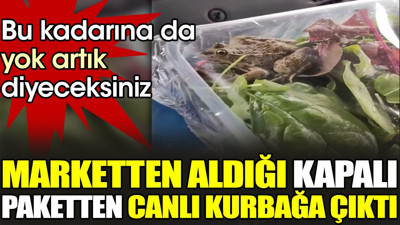 Bu kadarına da yok artık diyeceksiniz. Marketten aldığı kapalı paketten canlı kurbağa çıktı