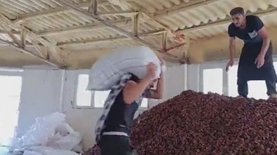 Halkın sağlığını hiçe sayarak kayısılar üzerinde tepinmişti. Rezaletin cezası belli oldu